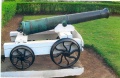 0066-cannon-at-maymyo-forestry-1.jpg