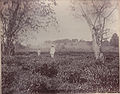 View of temple hills Neghriting from no 10 plot.jpg