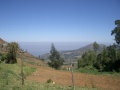 Nilgiri view.jpg