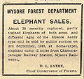 Sale of Elephants.jpg