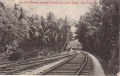 Ceylon - Seaside Railway via Coconut Estate nr Colombo.JPG