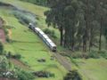 The Nilgiri Mountain Railway.jpg