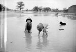 Thumbnail for File:Enjoying the monsoon rains.jpg