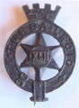 42nd Deoli Regiment pagri badge.jpg