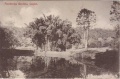 Ceylon, Peredeniya Gardens.JPG