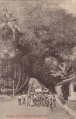 Kalutara Road - Banyan Tree.JPG